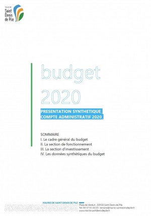 budget2020ca.jpg