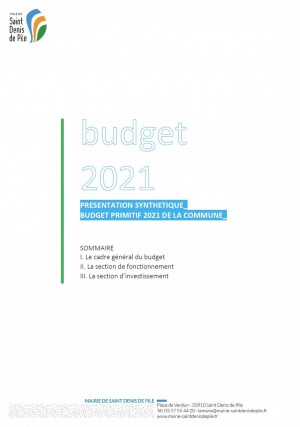 budget2021bp.jpg